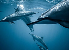 kaiyun官方下载-营造良好氛围，大力发展校园足球